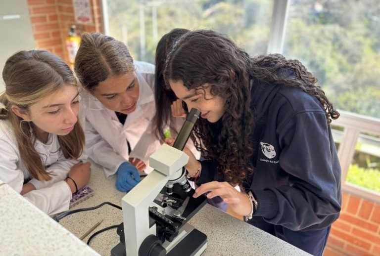 proyectos de aula colegio la colina