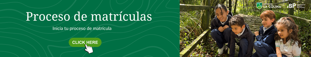 Proceso de rematricula colegio la colina