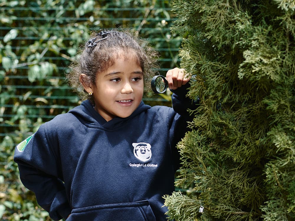 exploración en un colegio la colina forest school