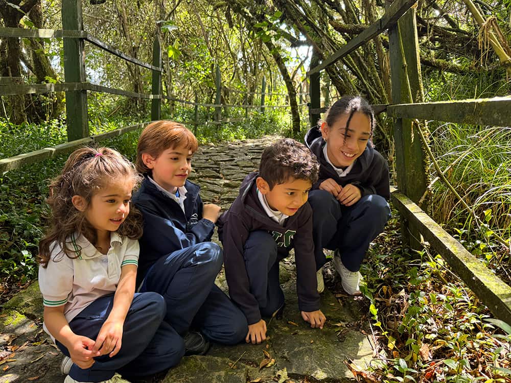 la biodeiversidad de un forest school