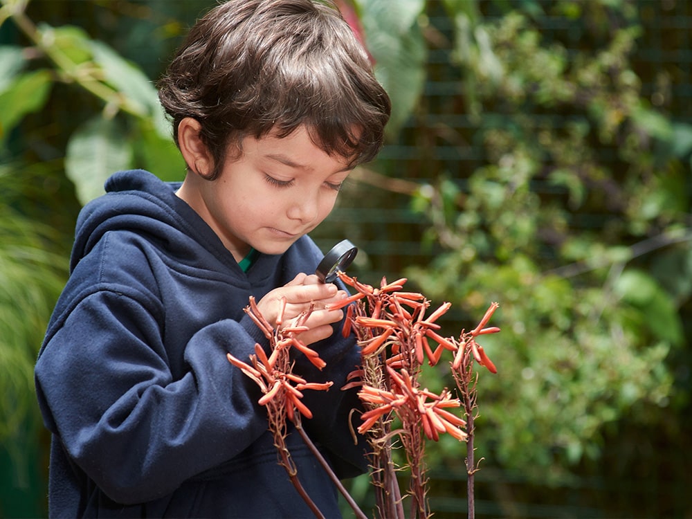 protegemos nuestro entorno natural en colegio la colina